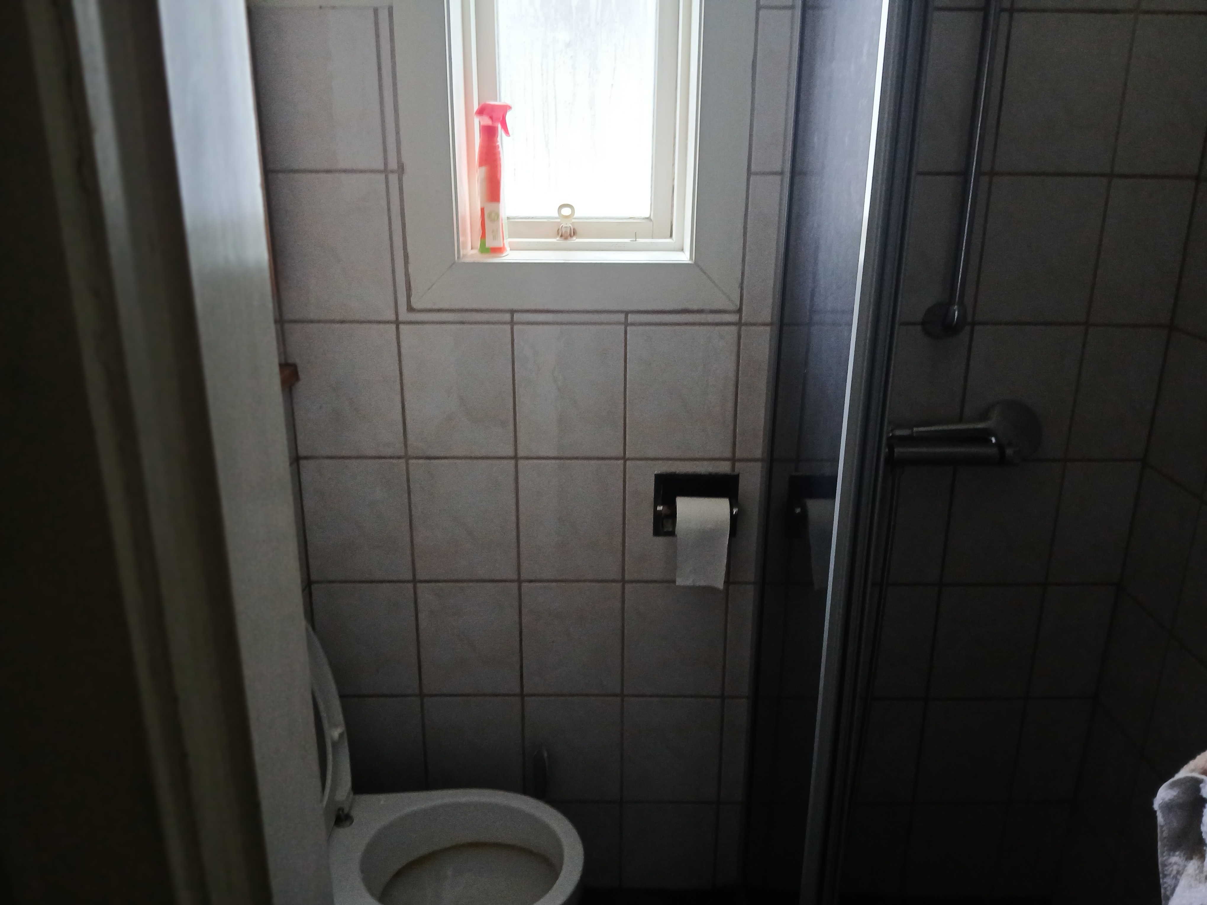 20260228-123037-12026-05-17-22-48-55243662.jpeg