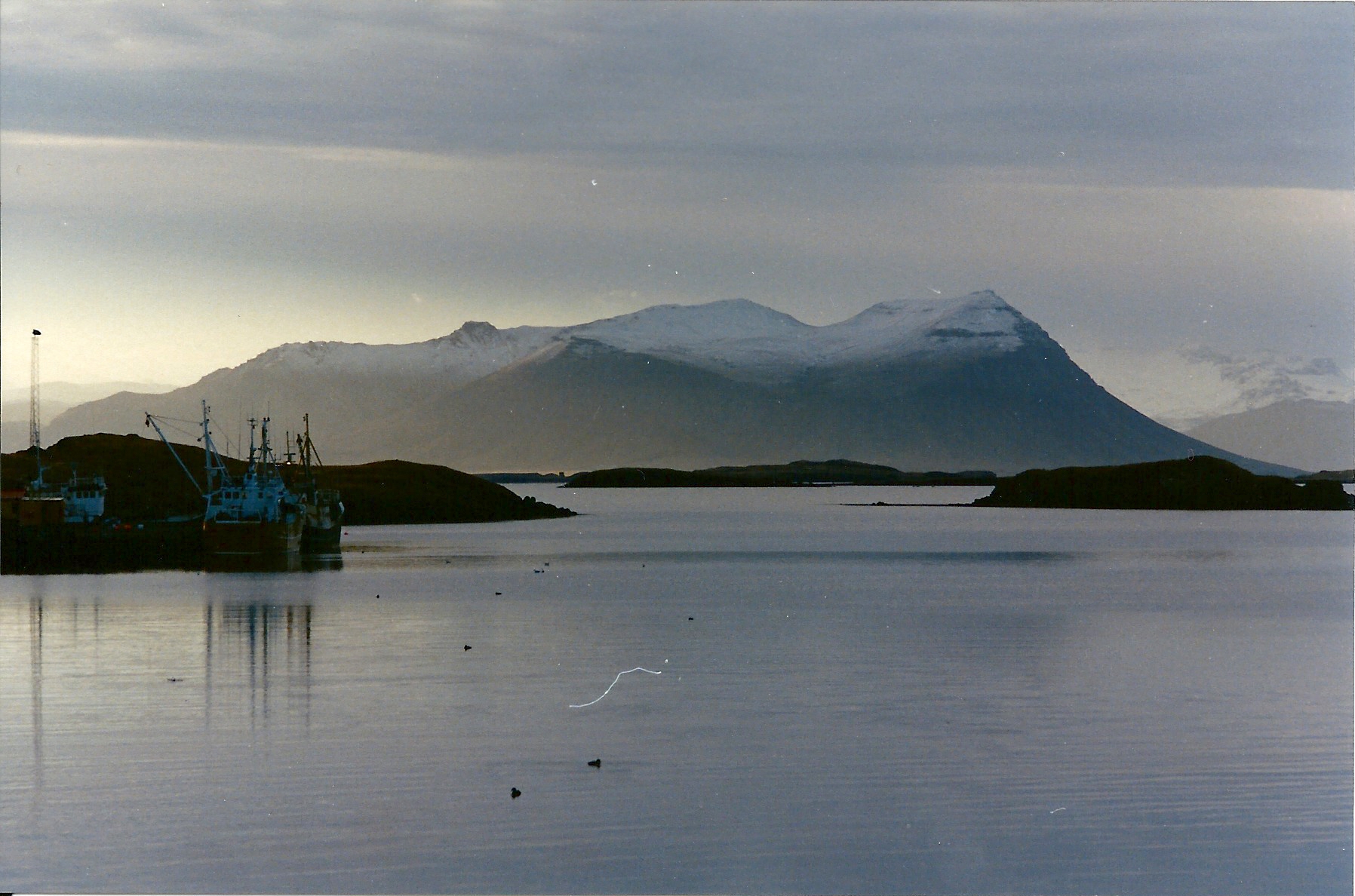 scan00122026-02-15-15-29-00866972.jpeg