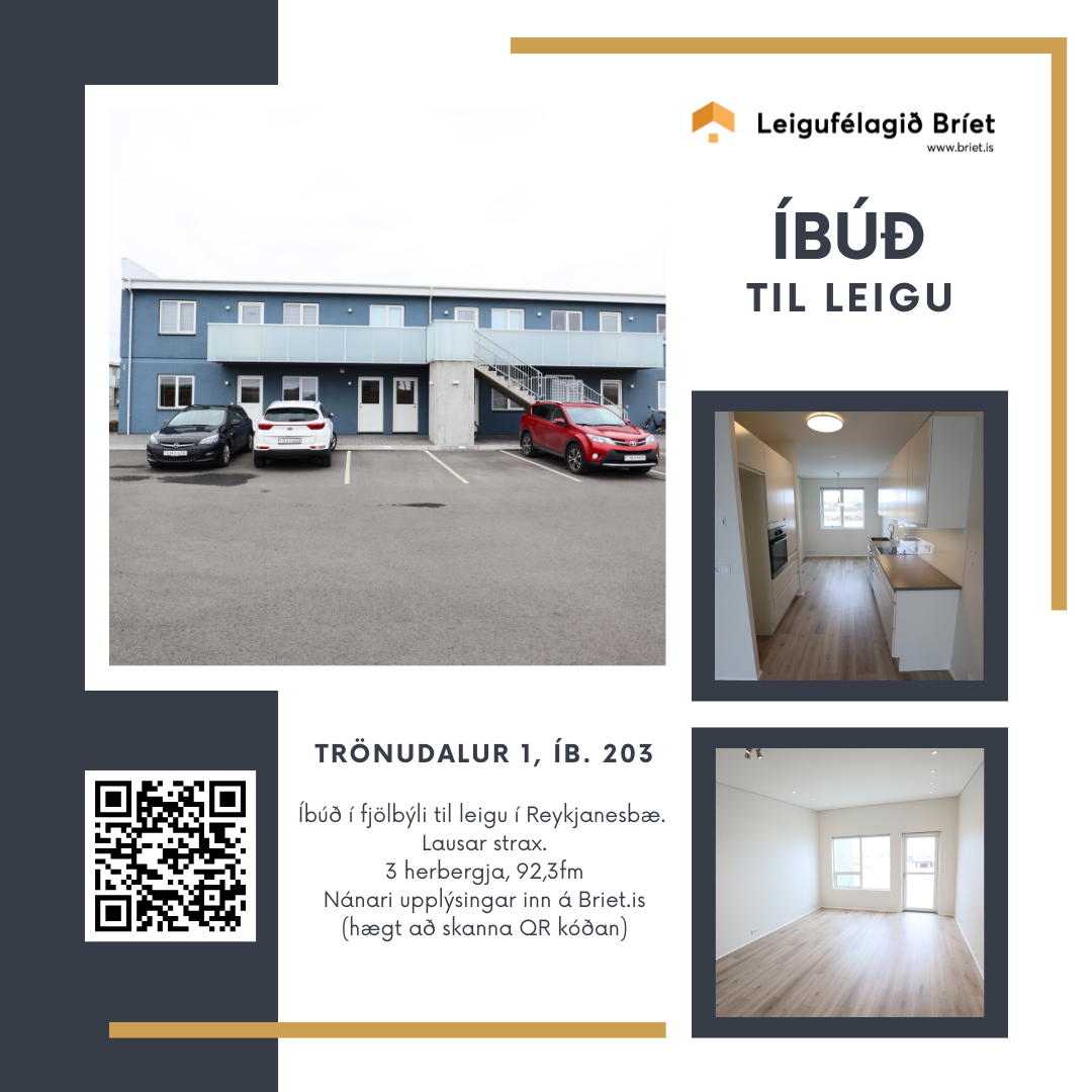 tronudalur-1-auglysingarform-fyrir-leigueignir-12026-04-15-14-58-58637417.png