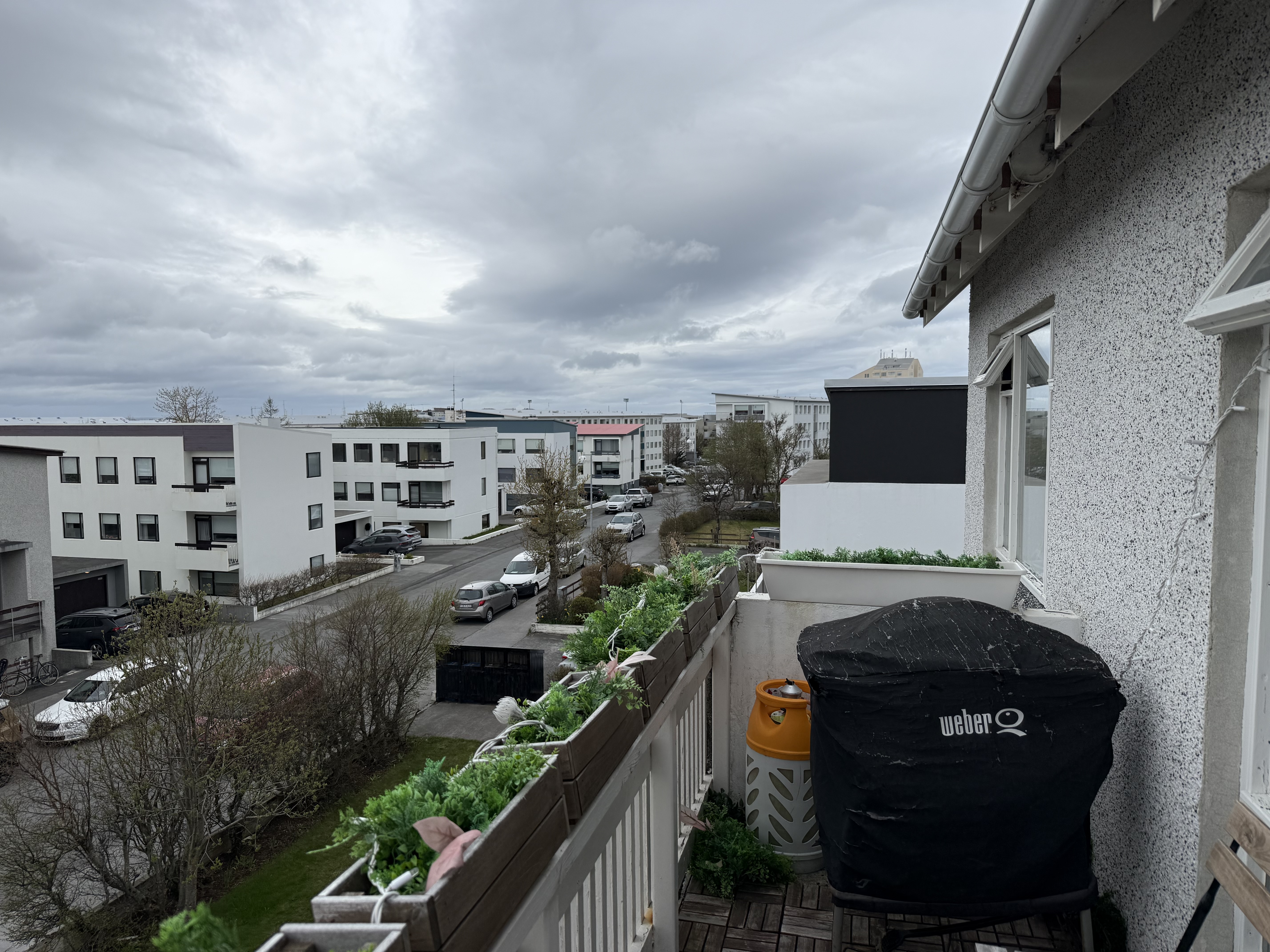 svalir-22026-05-15-16-23-27337501.jpeg