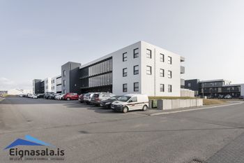 Dalsbraut 3 - Mynd