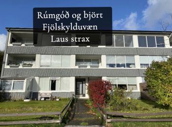 Strandasel 2 - Mynd
