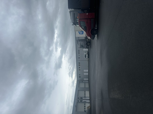 mohella-22026-10-05-09-15-07389702.jpeg