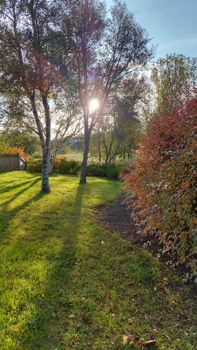 Snorrabraut 69 - Mynd